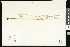  ( - CCDB-24799-A04)  @11 [ ] CreativeCommons - Attribution (2015) Department of Agriculture Agriculture and Agri-Food Canada National Collection of Vascular Plants (DAO
