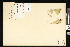  ( - CCDB-24799-E05)  @11 [ ] CreativeCommons - Attribution (2015) Department of Agriculture Agriculture and Agri-Food Canada National Collection of Vascular Plants (DAO