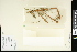  ( - CCDB-23395-A08)  @11 [ ] CreativeCommons - Attribution (2015) Agriculture and Agri-Food Canada Agriculture and Agri-Food Canada