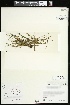  ( - CCDB-23395-B01)  @11 [ ] CreativeCommons - Attribution (2015) Agriculture and Agri-Food Canada Agriculture and Agri-Food Canada