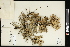  ( - CCDB-23395-B09)  @11 [ ] CreativeCommons - Attribution (2015) Agriculture and Agri-Food Canada Agriculture and Agri-Food Canada