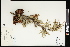  ( - CCDB-23395-D09)  @11 [ ] CreativeCommons - Attribution (2015) Agriculture and Agri-Food Canada Agriculture and Agri-Food Canada