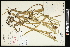  ( - CCDB-23395-E08)  @11 [ ] CreativeCommons - Attribution (2015) Agriculture and Agri-Food Canada Agriculture and Agri-Food Canada