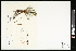  ( - CCDB-23395-F01)  @11 [ ] CreativeCommons - Attribution (2015) Agriculture and Agri-Food Canada Agriculture and Agri-Food Canada