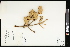 ( - CCDB-23395-F09)  @11 [ ] CreativeCommons - Attribution (2015) Agriculture and Agri-Food Canada Agriculture and Agri-Food Canada