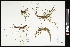  ( - CCDB-23395-G01)  @11 [ ] CreativeCommons - Attribution (2015) Agriculture and Agri-Food Canada Agriculture and Agri-Food Canada