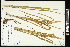  ( - CCDB-23395-G08)  @11 [ ] CreativeCommons - Attribution (2015) Agriculture and Agri-Food Canada Agriculture and Agri-Food Canada