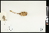  ( - CCDB-23395-G09)  @11 [ ] CreativeCommons - Attribution (2015) Agriculture and Agri-Food Canada Agriculture and Agri-Food Canada
