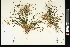  ( - CCDB-23395-H01)  @11 [ ] CreativeCommons - Attribution (2015) Agriculture and Agri-Food Canada Agriculture and Agri-Food Canada