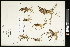  ( - CCDB-23395-H02)  @11 [ ] CreativeCommons - Attribution (2015) Agriculture and Agri-Food Canada Agriculture and Agri-Food Canada