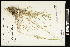 ( - CCDB-23396-E06)  @11 [ ] CreativeCommons - Attribution (2015) Agriculture and Agri-Food Canada Agriculture and Agri-Food Canada