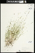  ( - CCDB-23396-F09)  @11 [ ] CreativeCommons - Attribution (2015) Agriculture and Agri-Food Canada Agriculture and Agri-Food Canada