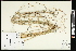  ( - CCDB-23396-F12)  @11 [ ] CreativeCommons - Attribution (2015) Agriculture and Agri-Food Canada Agriculture and Agri-Food Canada