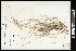  ( - CCDB-23396-G12)  @11 [ ] CreativeCommons - Attribution (2015) Agriculture and Agri-Food Canada Agriculture and Agri-Food Canada