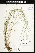  ( - CCDB-23396-H02)  @11 [ ] CreativeCommons - Attribution (2015) Agriculture and Agri-Food Canada Agriculture and Agri-Food Canada