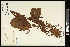  ( - CCDB-23955-E05)  @11 [ ] CreativeCommons - Attribution (2015) Agriculture and Agri-Food Canada Agriculture and Agri-Food Canada
