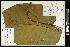  ( - CCDB-23955-G05)  @11 [ ] CreativeCommons - Attribution (2015) Agriculture and Agri-Food Canada Agriculture and Agri-Food Canada