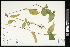  ( - CCDB-23967-B06)  @11 [ ] CreativeCommons - Attribution (2015) Agriculture and Agri-Food Canada Agriculture and Agri-Food Canada