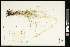  ( - CCDB-23967-C08)  @11 [ ] CreativeCommons - Attribution (2015) Agriculture and Agri-Food Canada Agriculture and Agri-Food Canada