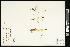 ( - CCDB-23967-F11)  @11 [ ] CreativeCommons - Attribution (2015) Agriculture and Agri-Food Canada Agriculture and Agri-Food Canada