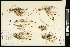 ( - CCDB-23967-G11)  @11 [ ] CreativeCommons - Attribution (2015) Agriculture and Agri-Food Canada Agriculture and Agri-Food Canada