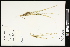  ( - CCDB-23967-G12)  @11 [ ] CreativeCommons - Attribution (2015) Agriculture and Agri-Food Canada Agriculture and Agri-Food Canada
