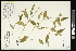  ( - CCDB-23967-H07)  @11 [ ] CreativeCommons - Attribution (2015) Agriculture and Agri-Food Canada Agriculture and Agri-Food Canada