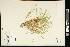  ( - CCDB-23967-H12)  @11 [ ] CreativeCommons - Attribution (2015) Agriculture and Agri-Food Canada Agriculture and Agri-Food Canada