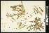  ( - CCDB-24795-B04)  @11 [ ] CreativeCommons - Attribution (2015) Agriculture and Agri-Food Canada Agriculture and Agri-Food Canada