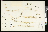  ( - CCDB-24795-G10)  @11 [ ] CreativeCommons - Attribution (2015) Agriculture and Agri-Food Canada Agriculture and Agri-Food Canada
