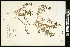  ( - CCDB-24795-H10)  @11 [ ] CreativeCommons - Attribution (2015) Agriculture and Agri-Food Canada Agriculture and Agri-Food Canada