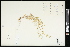  ( - CCDB-24798-A11)  @11 [ ] CreativeCommons - Attribution (2015) Agriculture and Agri-Food Canada Agriculture and Agri-Food Canada