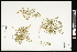  ( - CCDB-24798-B06)  @11 [ ] CreativeCommons - Attribution (2015) Agriculture and Agri-Food Canada Agriculture and Agri-Food Canada