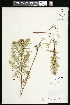  ( - CCDB-24798-B08)  @11 [ ] CreativeCommons - Attribution (2015) Agriculture and Agri-Food Canada Agriculture and Agri-Food Canada