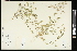  ( - CCDB-24798-B11)  @11 [ ] CreativeCommons - Attribution (2015) Agriculture and Agri-Food Canada Agriculture and Agri-Food Canada