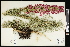  ( - CCDB-24798-B12)  @11 [ ] CreativeCommons - Attribution (2015) Agriculture and Agri-Food Canada Agriculture and Agri-Food Canada