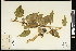  ( - CCDB-24798-C09)  @11 [ ] CreativeCommons - Attribution (2015) Agriculture and Agri-Food Canada Agriculture and Agri-Food Canada