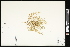  ( - CCDB-24798-D06)  @11 [ ] CreativeCommons - Attribution (2015) Agriculture and Agri-Food Canada Agriculture and Agri-Food Canada