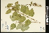  ( - CCDB-24798-D09)  @11 [ ] CreativeCommons - Attribution (2015) Agriculture and Agri-Food Canada Agriculture and Agri-Food Canada
