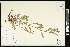  ( - CCDB-24798-E03)  @11 [ ] CreativeCommons - Attribution (2015) Agriculture and Agri-Food Canada Agriculture and Agri-Food Canada
