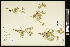  ( - CCDB-24798-G12)  @11 [ ] CreativeCommons - Attribution (2015) Agriculture and Agri-Food Canada Agriculture and Agri-Food Canada