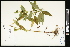  ( - CCDB-24798-H07)  @11 [ ] CreativeCommons - Attribution (2015) Agriculture and Agri-Food Canada Agriculture and Agri-Food Canada