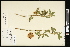  ( - CCDB-24801-A05)  @11 [ ] CreativeCommons - Attribution (2015) Agriculture and Agri-Food Canada Agriculture and Agri-Food Canada