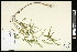  ( - CCDB-24801-A08)  @11 [ ] CreativeCommons - Attribution (2015) Agriculture and Agri-Food Canada Agriculture and Agri-Food Canada