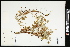  ( - CCDB-24801-A11)  @11 [ ] CreativeCommons - Attribution (2015) Agriculture and Agri-Food Canada Agriculture and Agri-Food Canada