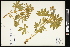  ( - CCDB-24801-B04)  @11 [ ] CreativeCommons - Attribution (2015) Agriculture and Agri-Food Canada Agriculture and Agri-Food Canada