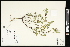  ( - CCDB-24801-B08)  @11 [ ] CreativeCommons - Attribution (2015) Agriculture and Agri-Food Canada Agriculture and Agri-Food Canada
