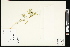  ( - CCDB-24801-C08)  @11 [ ] CreativeCommons - Attribution (2015) Agriculture and Agri-Food Canada Agriculture and Agri-Food Canada