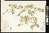  ( - CCDB-24801-D04)  @11 [ ] CreativeCommons - Attribution (2015) Agriculture and Agri-Food Canada Agriculture and Agri-Food Canada