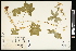  ( - CCDB-24801-D07)  @11 [ ] CreativeCommons - Attribution (2015) Agriculture and Agri-Food Canada Agriculture and Agri-Food Canada